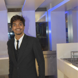 Ankit Bauskar