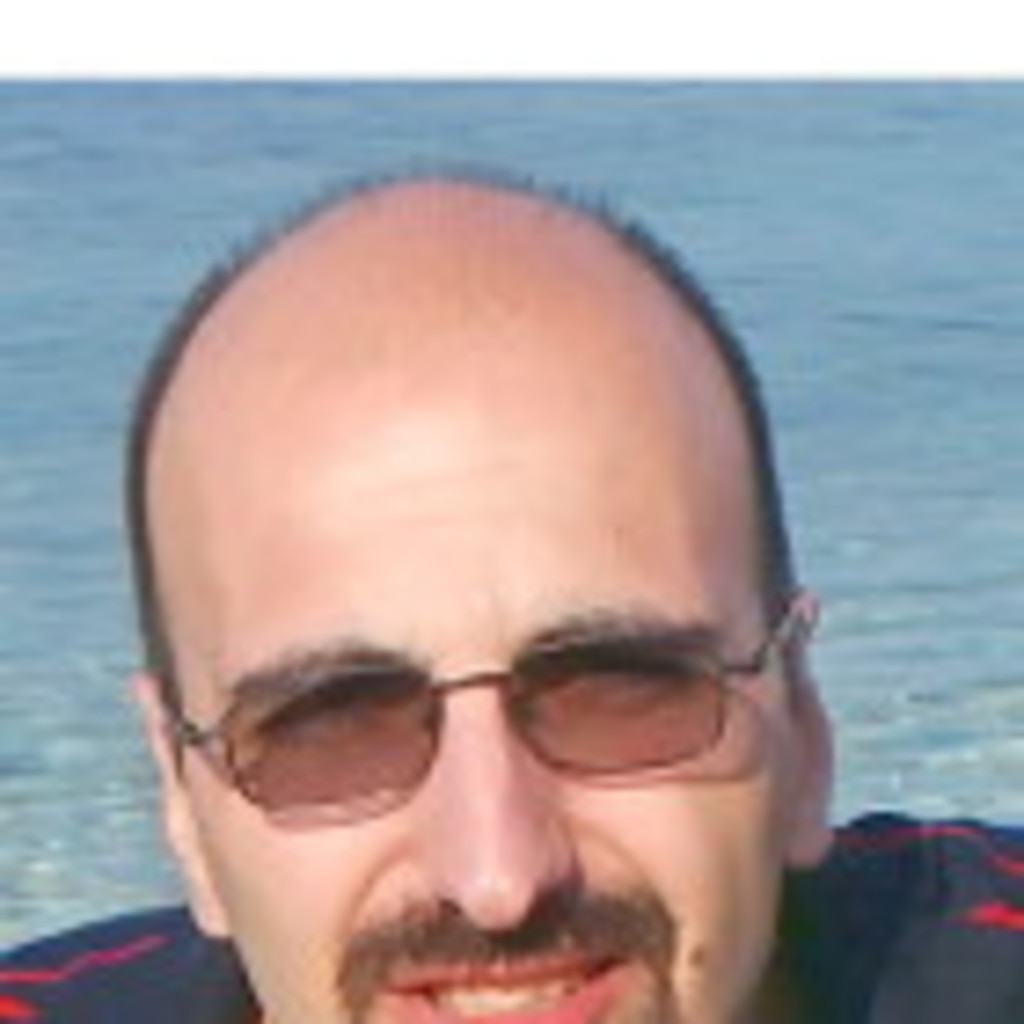 Vid Bogdanovic Principal Ateneum Realisaction XING