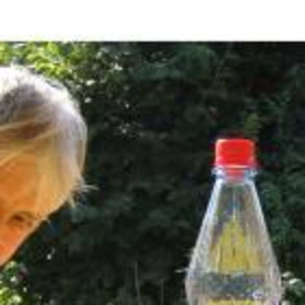 Gerhard Monsees freischaffend Künstler XING