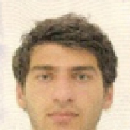 DaviD ShengeliA