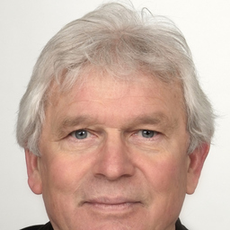 Alfons Johann