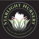 starlight nursery