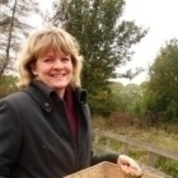 Annette de Vries