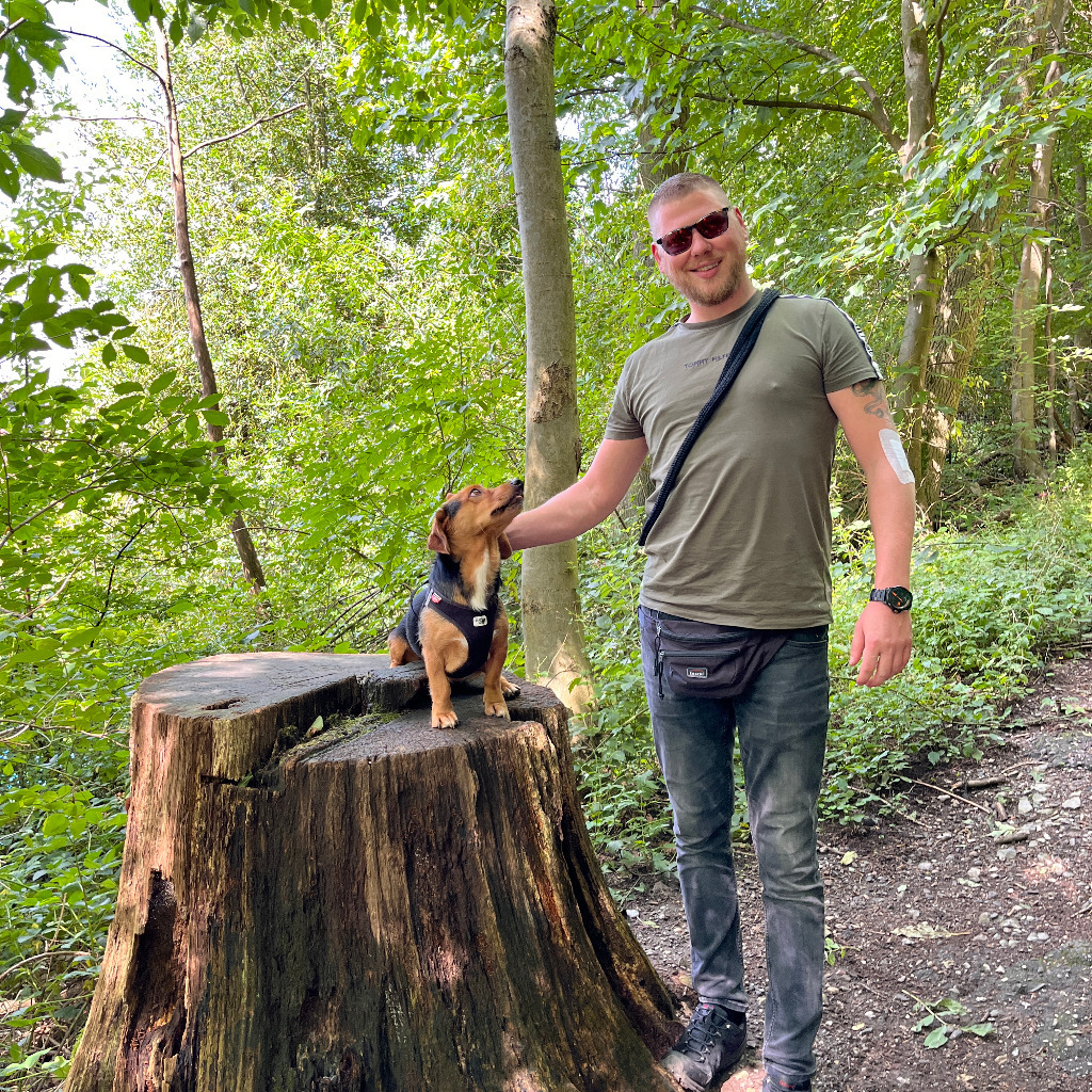 Johannes Nebel Malermeister Malermeister Johannes Nebel XING