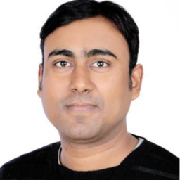 Ing. Kislaya Agrawal