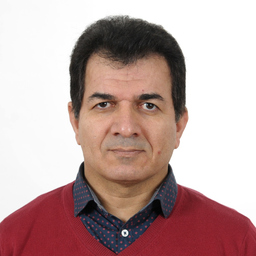 Mansour Pourali's profile picture