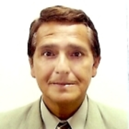 julio cesar meneses montes