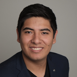 Francisco Manrique Morales