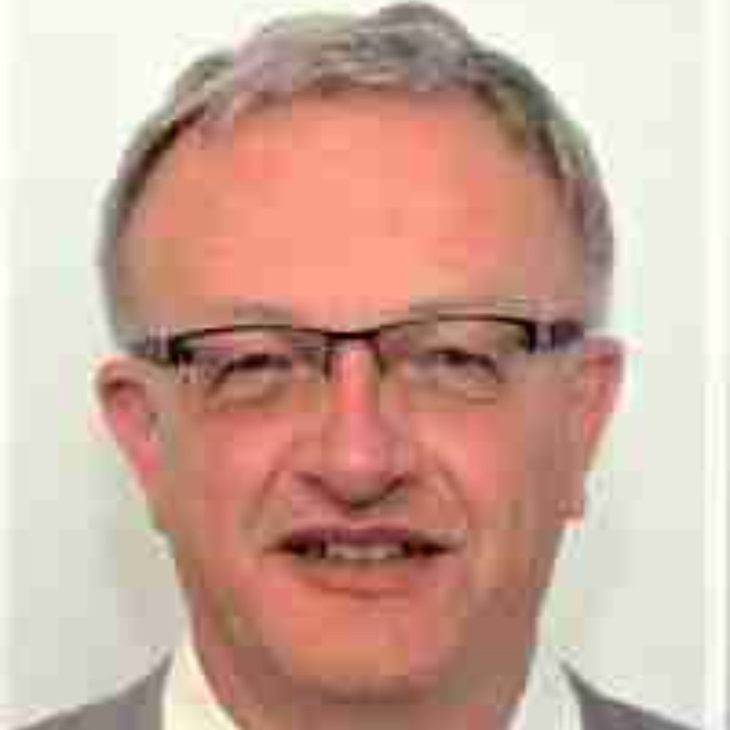 Dipl.Ing. Jürgen Frey Geschäftsführer Taico Kft. XING