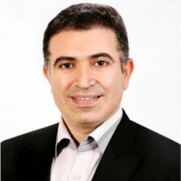 Seyed Ziaeddin Hosseini