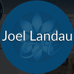 Joel Landau