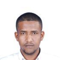 Yassir Merghani