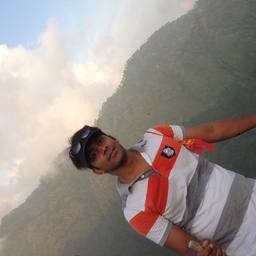 Avinash Punglia