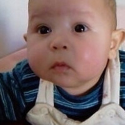 bakhti kamel
