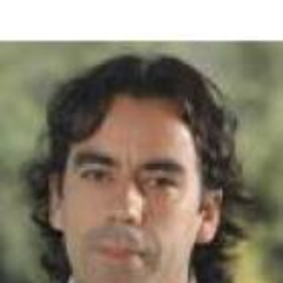 Javier Morales