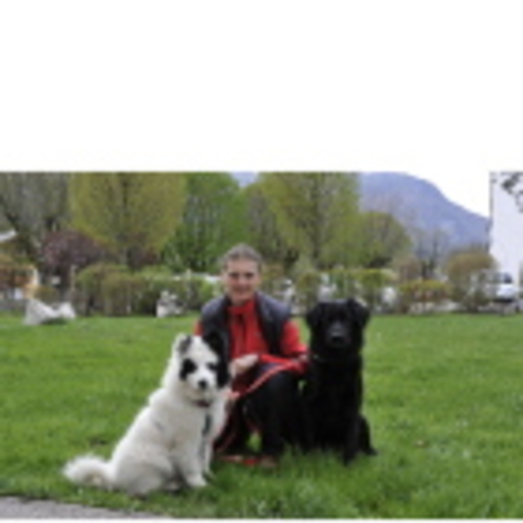 Birgit Eder therapiehundeführerin, kinesiologin, bewegungspäd