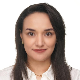 sepideh karami