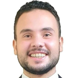 Ahmed Rizk