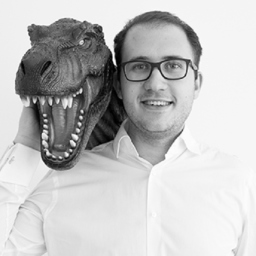 Maximilian Schmierer's profile picture