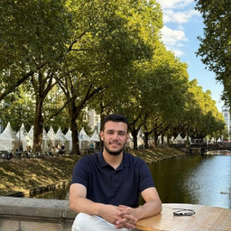 Alaa Abdelwahab 