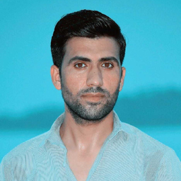Haider zulqarnain