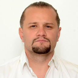 Ing. Dino Curic