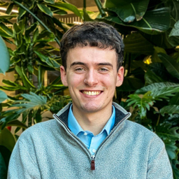 Lewis Colley's profile picture