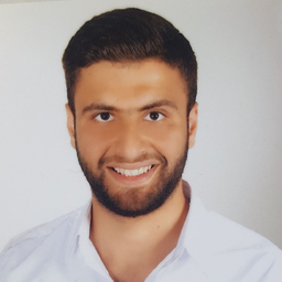 Mohamed Rashed Zaree