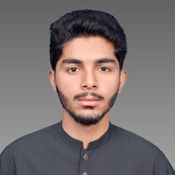Muhammad Noman
