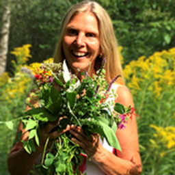 Susanne Haffa