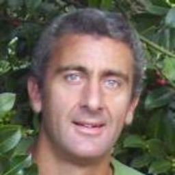 roberto zoni