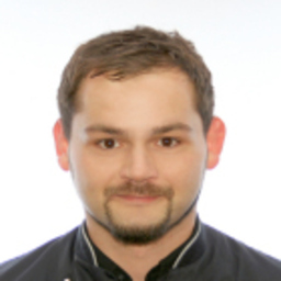 Dominik Reiswich