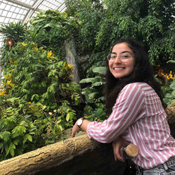 Zeynab Hosseinpour