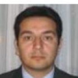 Carlos Andres Pineda Lallemand