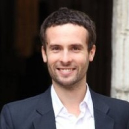 Ing. Francois Hanrot